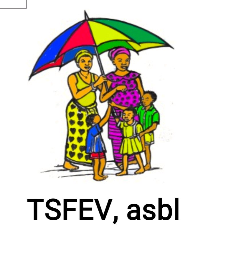 TSFEV logo